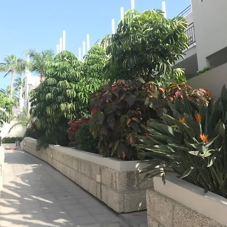 Apartamento Penthouse Los Olivos *